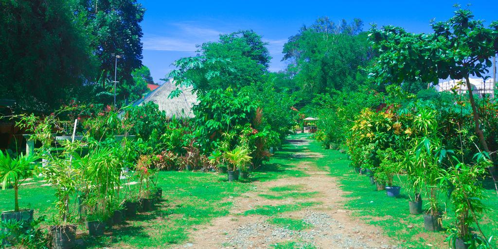 Michelle Pension Puerto Princesa Exterior photo